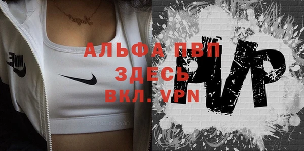 не бодяженный Ладушкин