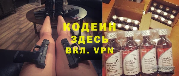 не бодяженный Ладушкин